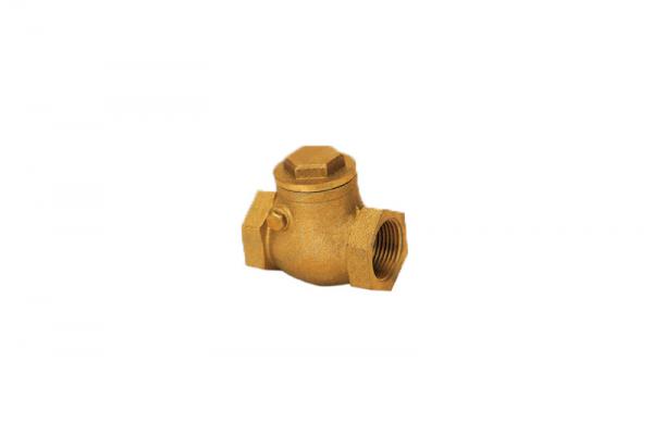 Brass check valve
