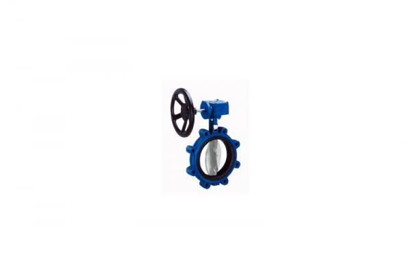 Flexible rubber lined butterfly valve 