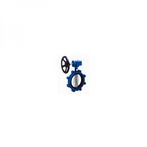 Flexible rubber lined butterfly valve 