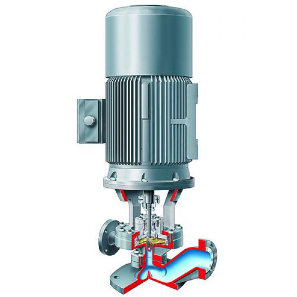 API Process Pumps MSP