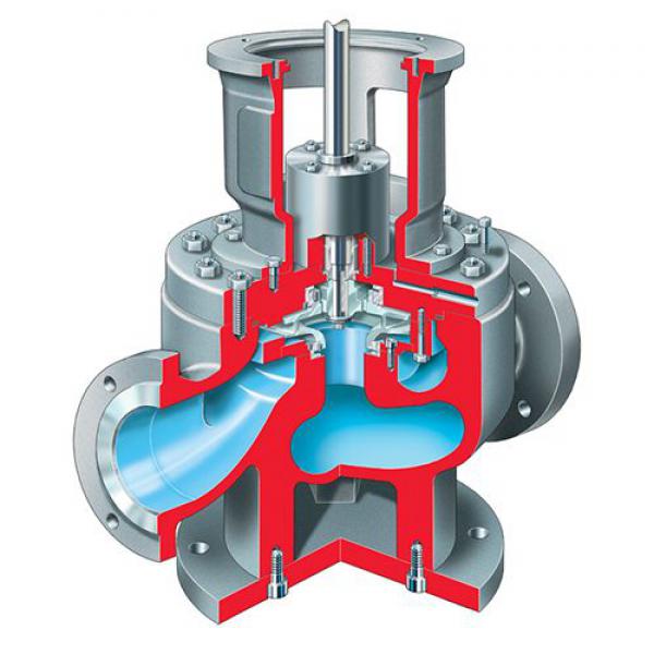API Process Pumps PVML