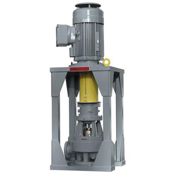 API Process Pumps PVXM