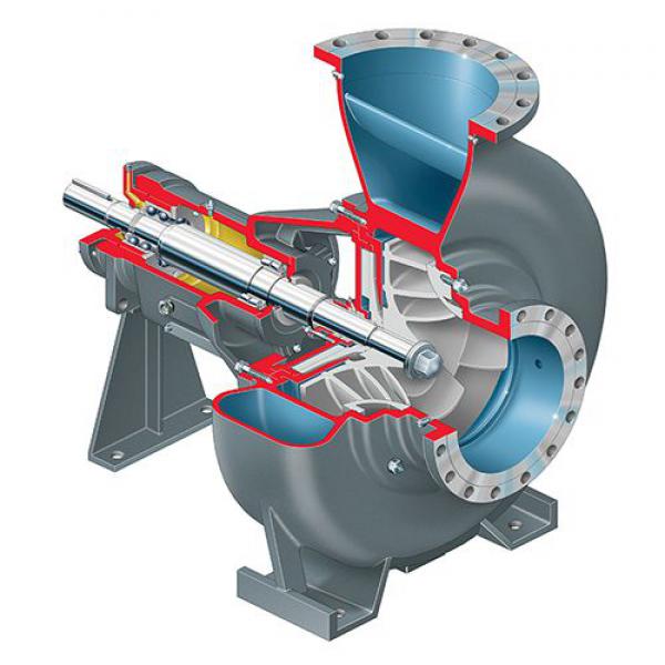 Industrial Process Pumps FRBH