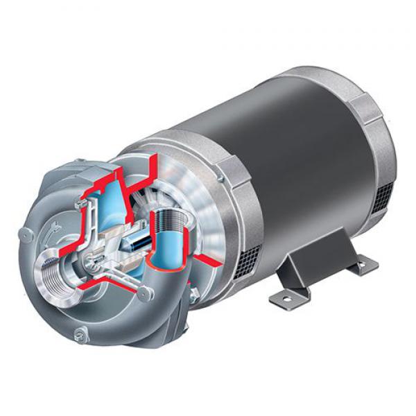 Industrial Process Pumps SMP