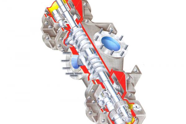 Multiphase flow pump (screw pump) 
