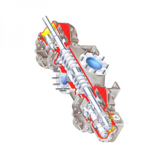 Multiphase flow pump (screw pump) 