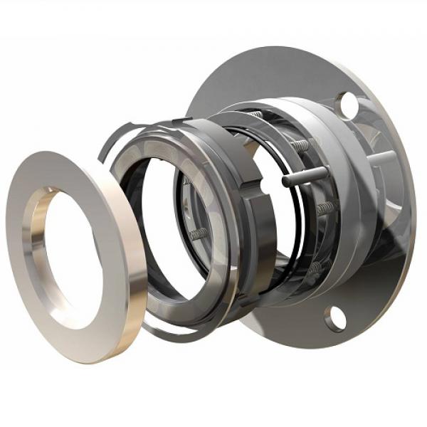 OEM And Special Duty Seals GLS GSS GSG