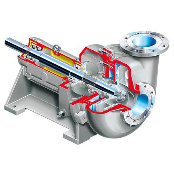Slurry Pumps Lc