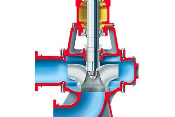 SOLIDS HANDLING PUMPS - MN AND MNV